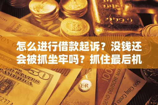 济南怎么进行借款起诉？没钱还会被抓坐牢吗？抓住最后机会！