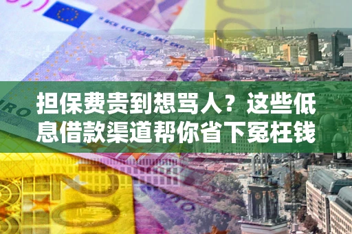 济南担保费贵到想骂人？这些低息借款渠道帮你省下冤枉钱