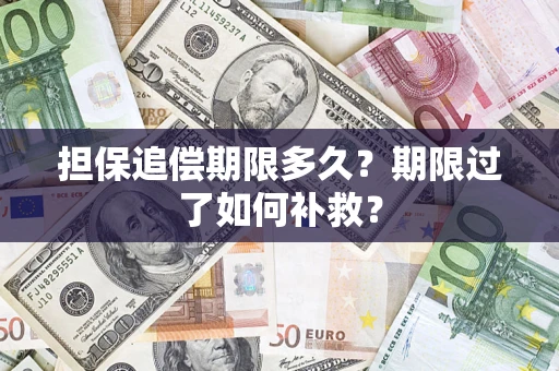 济南担保追偿期限多久？期限过了如何补救？